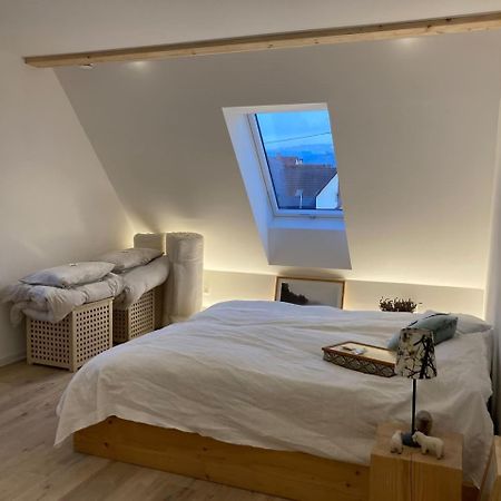 EhrenkirchenNeues Penthouse-Loft Mit Konuskarte Fuer Gratis Oepnvアパートメント エクステリア 写真
