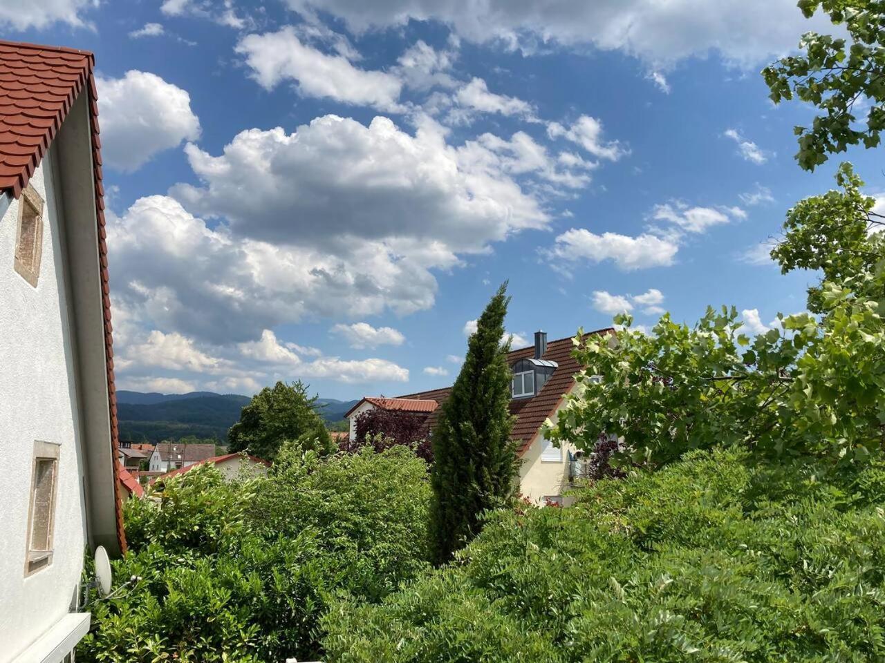 EhrenkirchenNeues Penthouse-Loft Mit Konuskarte Fuer Gratis Oepnvアパートメント エクステリア 写真