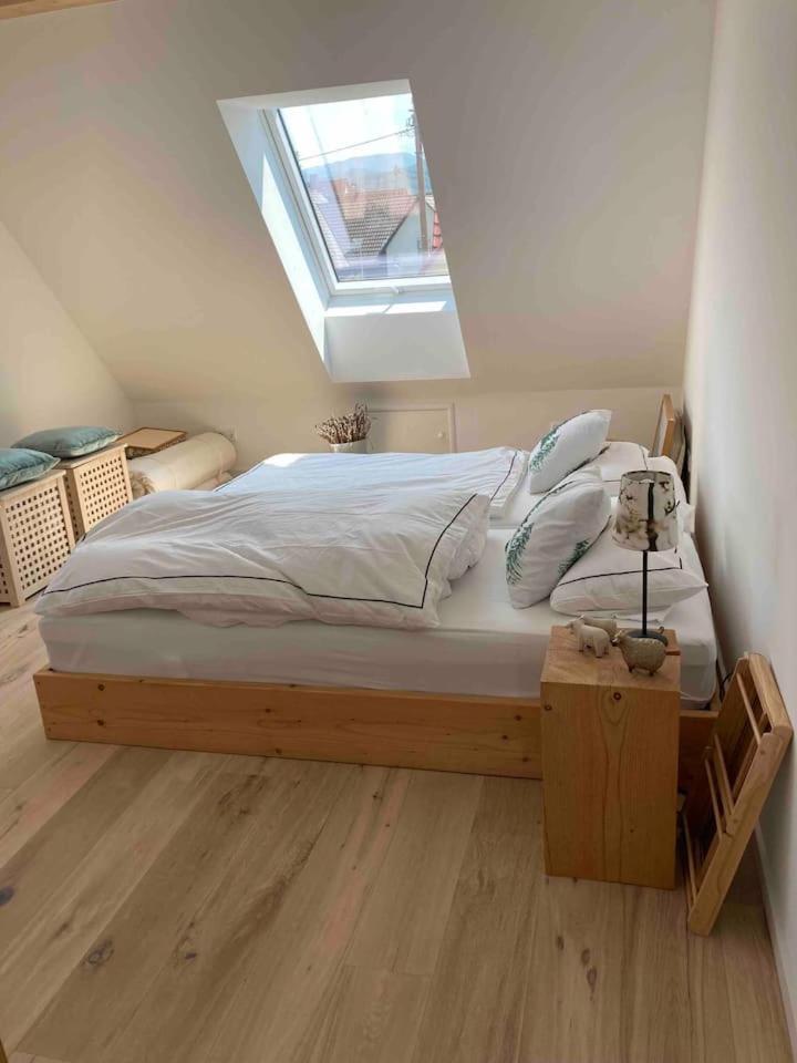 EhrenkirchenNeues Penthouse-Loft Mit Konuskarte Fuer Gratis Oepnvアパートメント エクステリア 写真